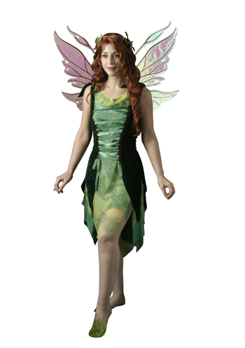 Forest Fairy Adult Costume